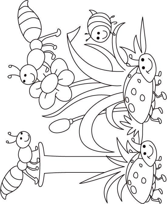 Insect Coloring Pages For Kids