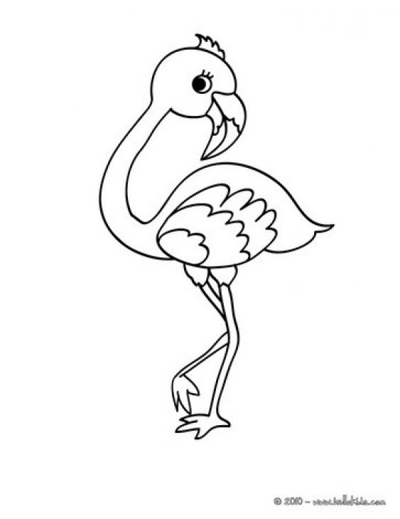 Flamingo Coloring Pages Free