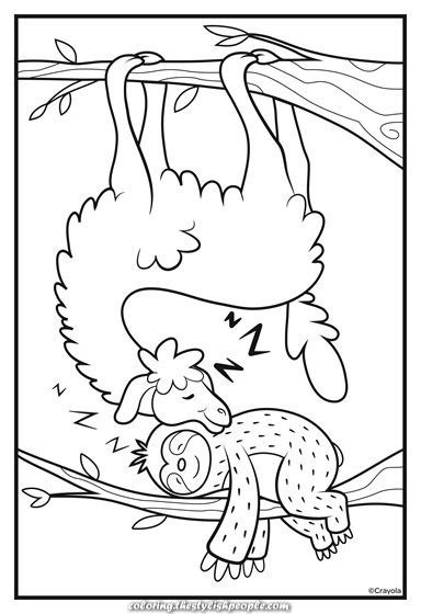 Llama Coloring Pages For Adults