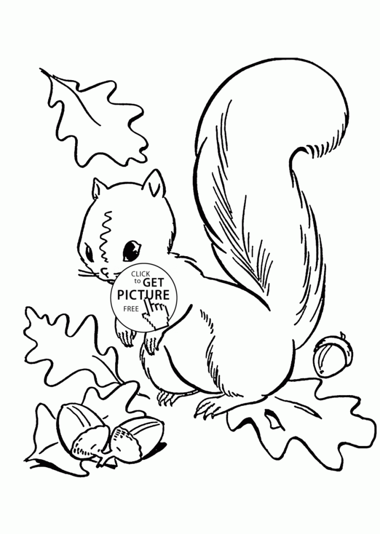 Squirrel Coloring Page Fall