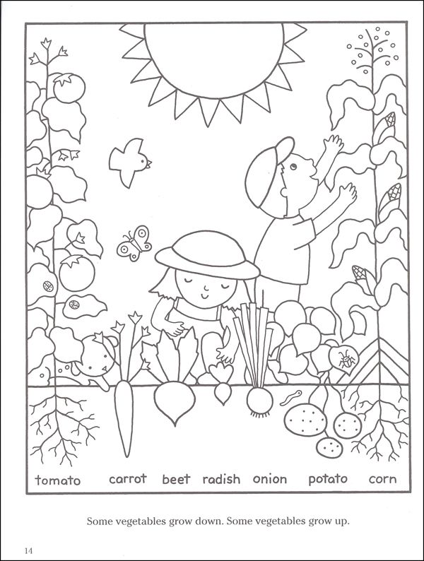 Garden Coloring Pages Preschool