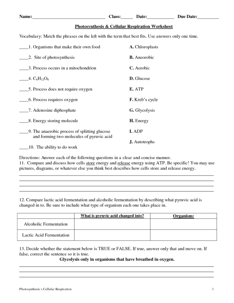 Comparing Photosynthesis And Cellular Respiration Worksheet Answers