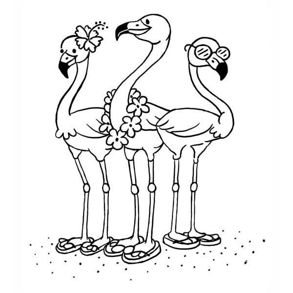 Flamingo Coloring Pages