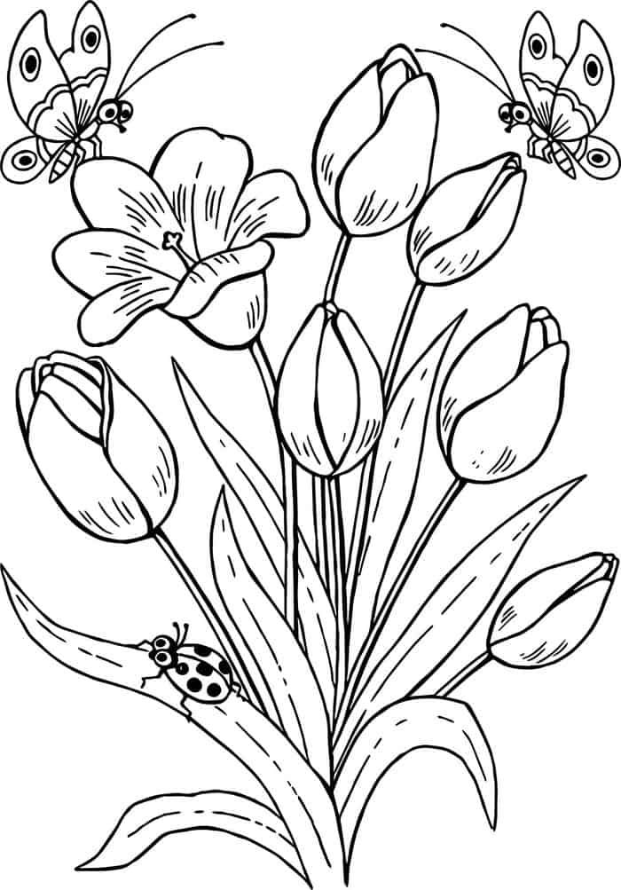 Easy Coloring Pages Flowers
