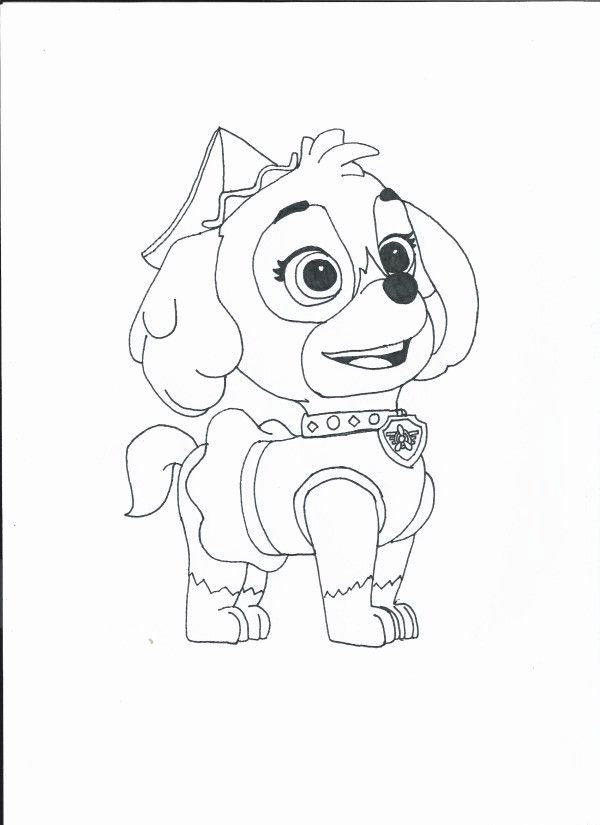 Paw Patrol Skye Pictures To Color