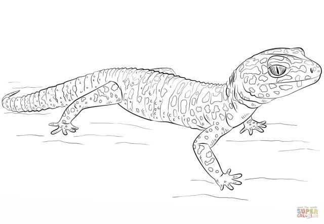 Gecko Coloring Page