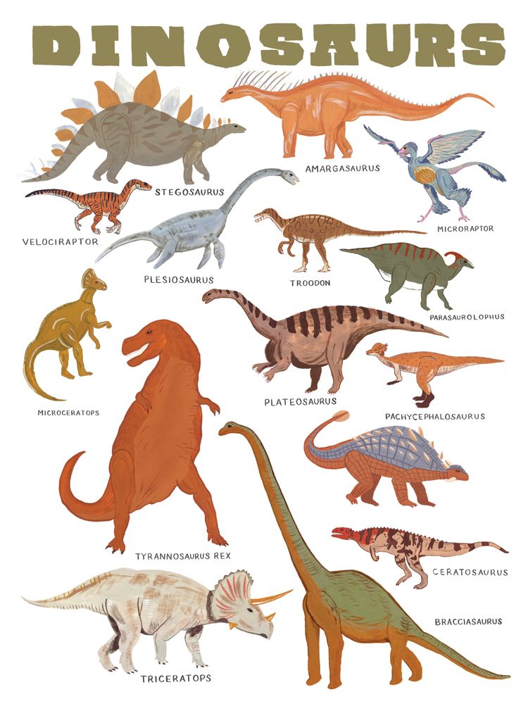 Small Dinosaur Pictures To Print