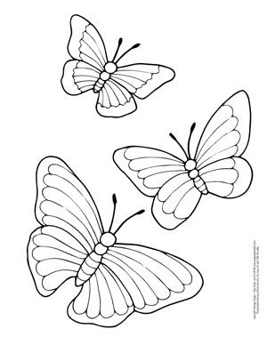 Butterfly Coloring Printable