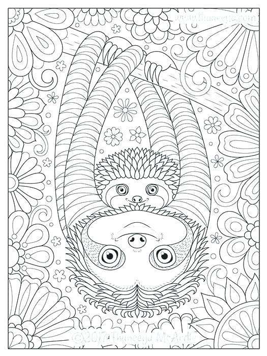 Sloth Coloring Page Pdf