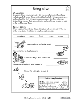 Second Grade Grade 2 Science Worksheets Printable Free