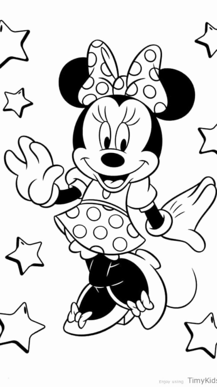 Minnie Mouse Coloring Book
