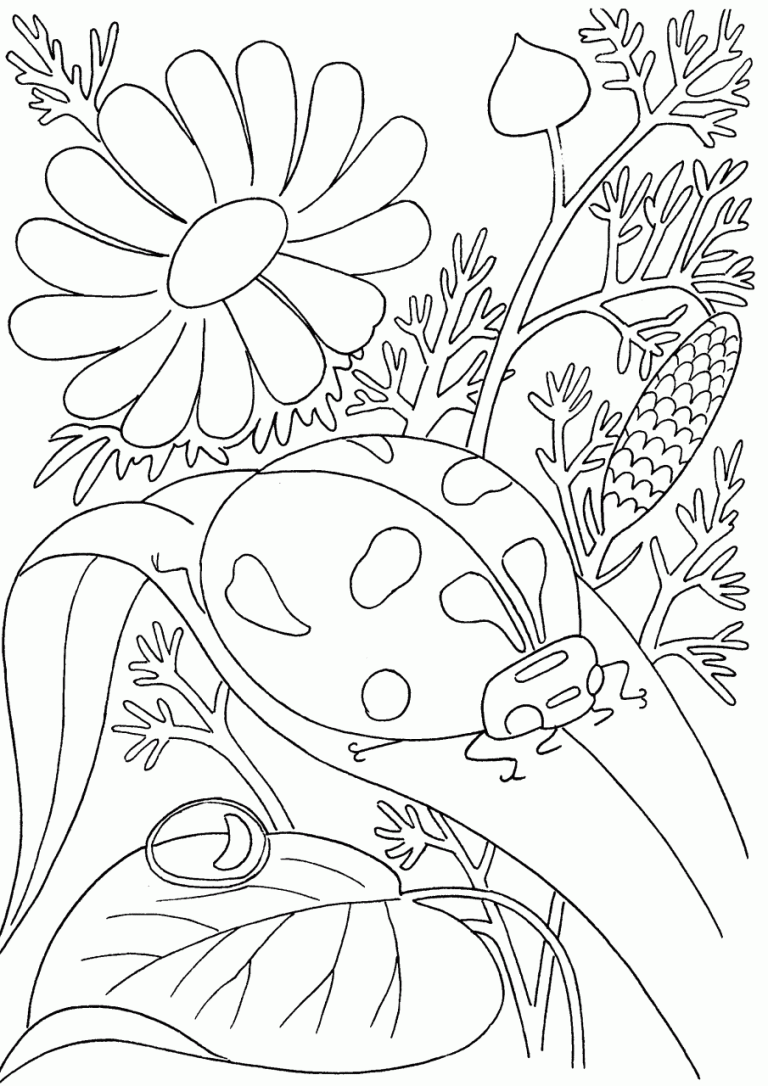 Insect Coloring Pages Printable