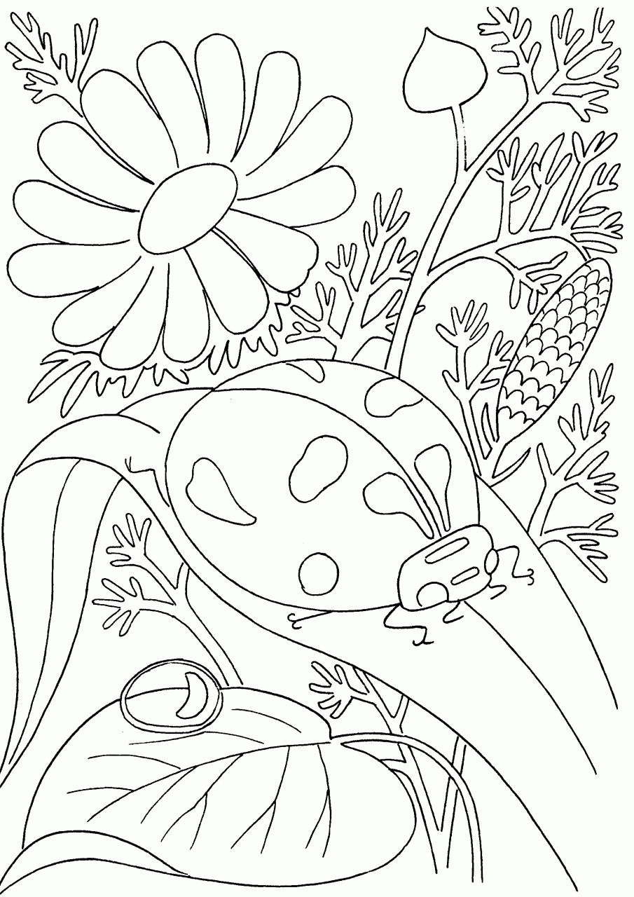 Spongebob Coloring Pages Gary