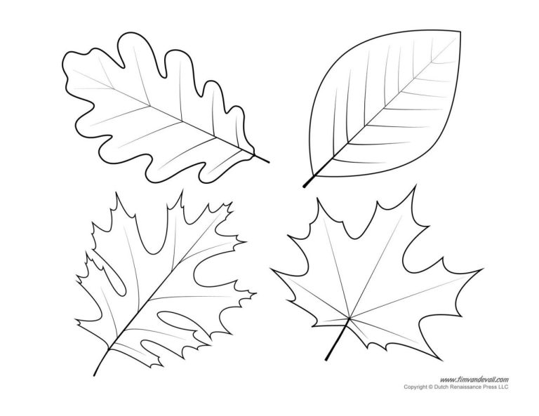 Leaf Coloring Pages For Kindergarten