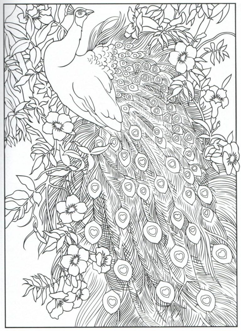Peacock Coloring Pages For Adults