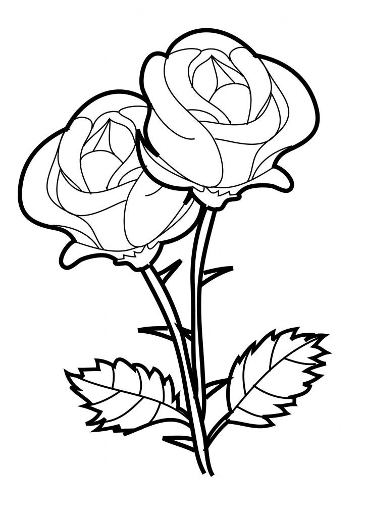 Roses Coloring Pages Printable