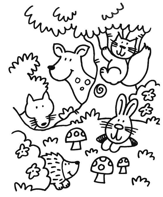 Forest Coloring Pages For Preschoolers