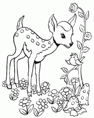 Deer Coloring Pages Easy