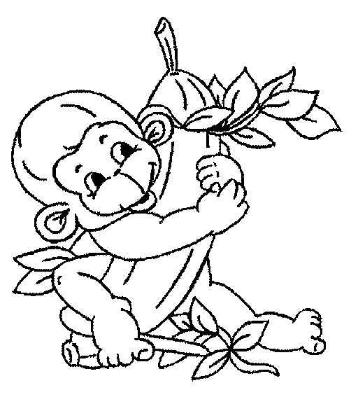 Monkey Coloring Pages Pdf
