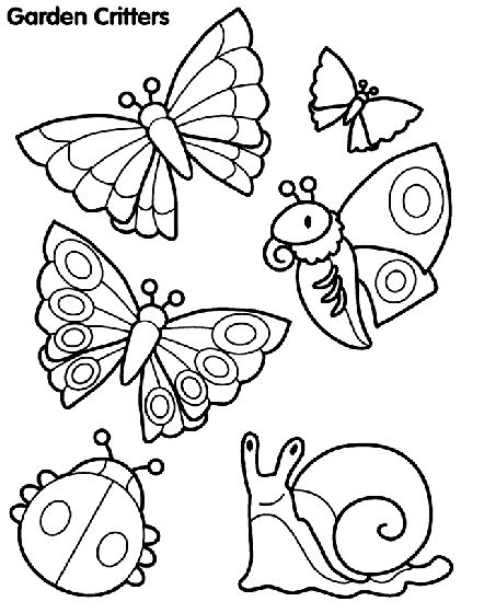 Insect Coloring Pages To Print