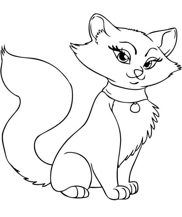 Cat Pictures To Color For Kids