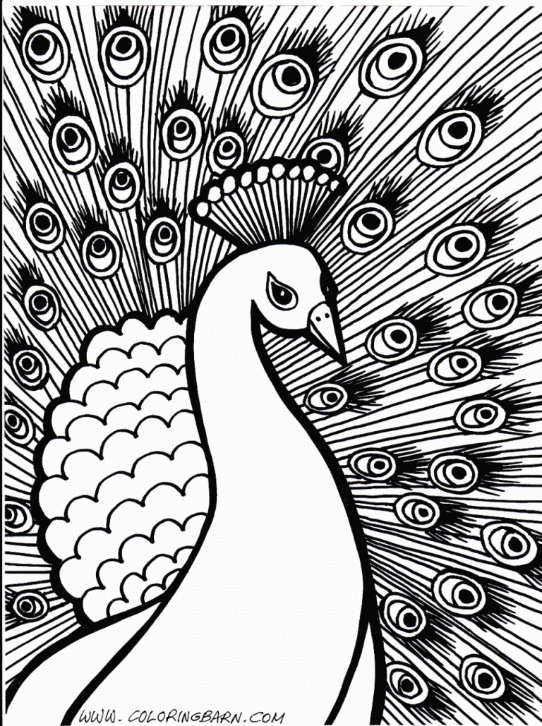 Bird Coloring Pages Hard