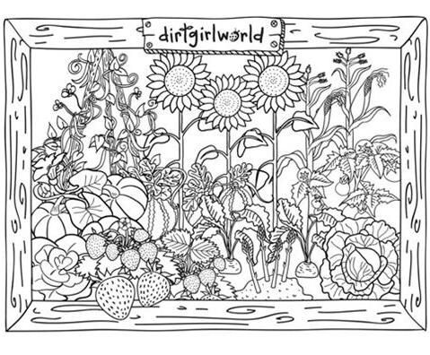 Garden Coloring Pages Free
