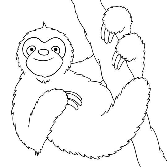 Sloth Coloring Pages To Print