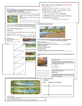 Key Grade 9 Ecological Succession Worksheet Answers
