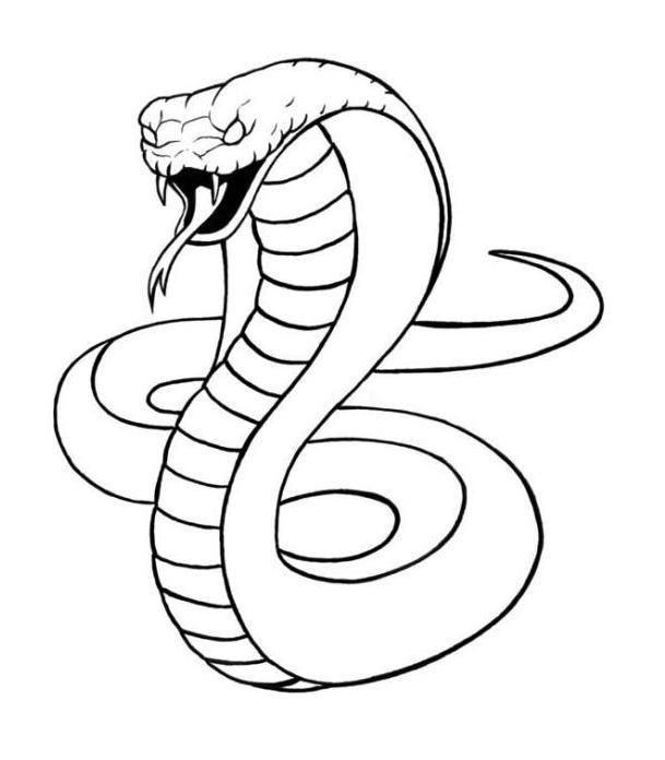 Snake Coloring Pages Easy