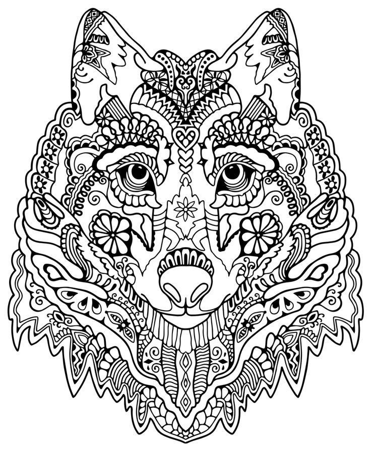 Detailed Coloring Pages For Kids Animals