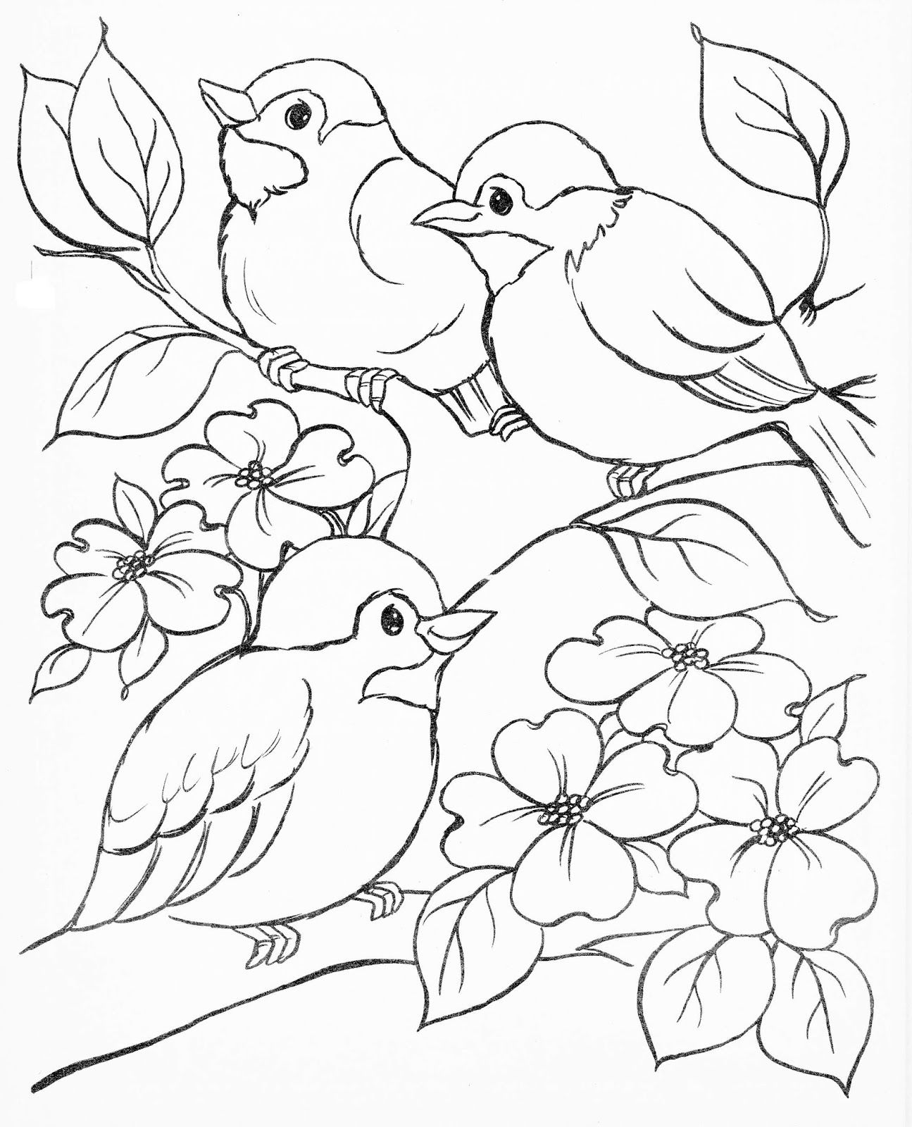 Bless This Day Bird drawings, Bird coloring pages, Bird coloring