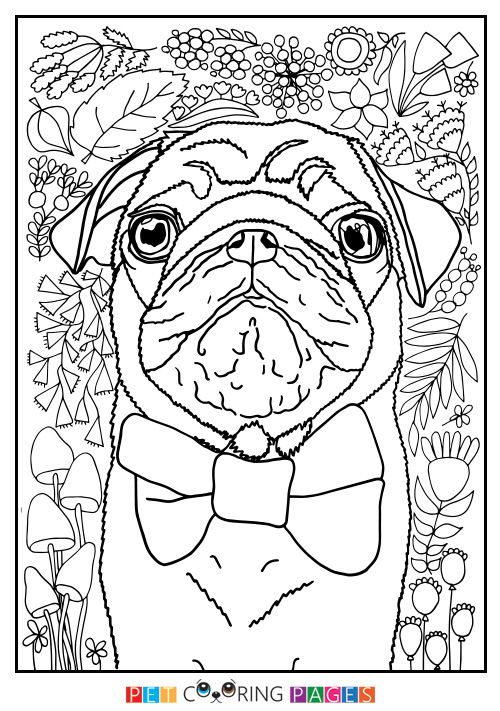 Pug Coloring Pages Printable