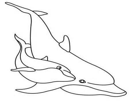 Dolphin Coloring Pages Free Printable