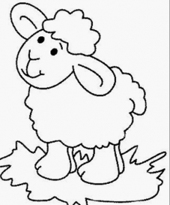 Sheep Coloring Pages For Toddlers