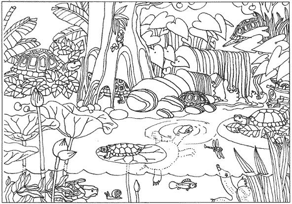 Jungle Coloring Pages For Adults