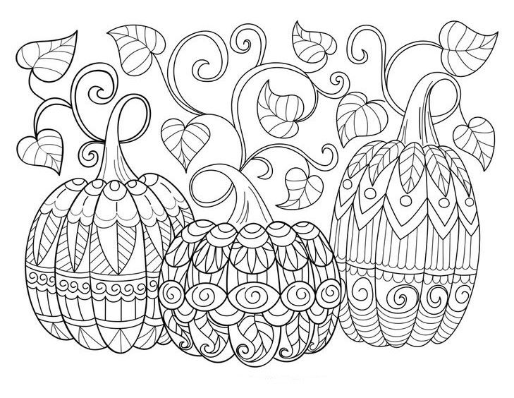 Leaf Coloring Pages Zentangle