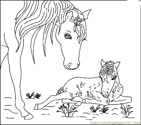 Horse Coloring Pages Free