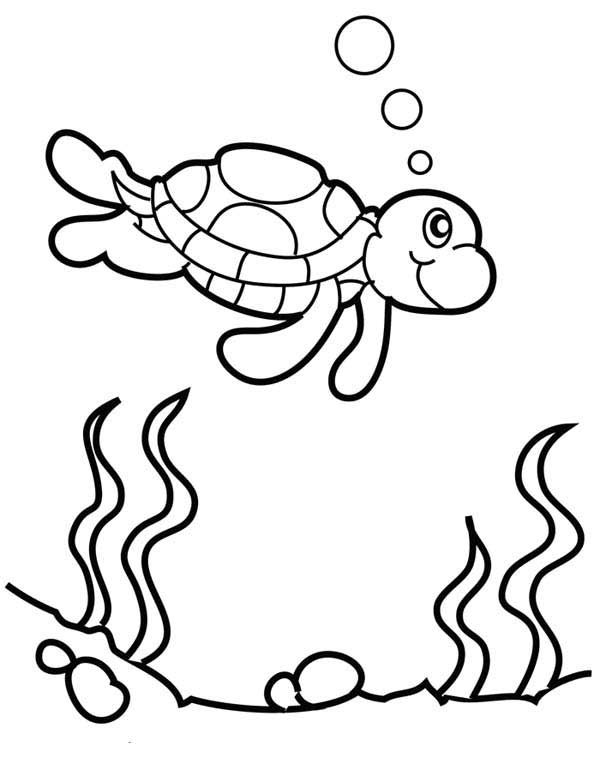 Cute Animal Coloring Pages Turtle