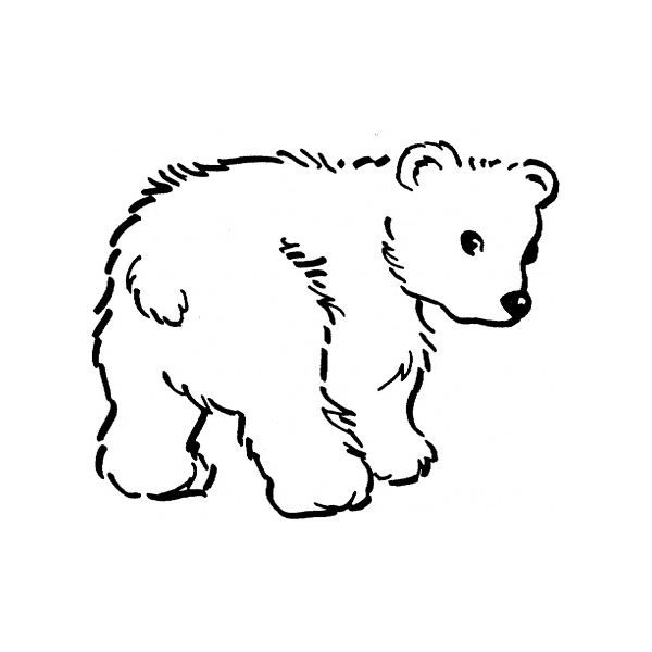 Baby Polar Bear Coloring Pages