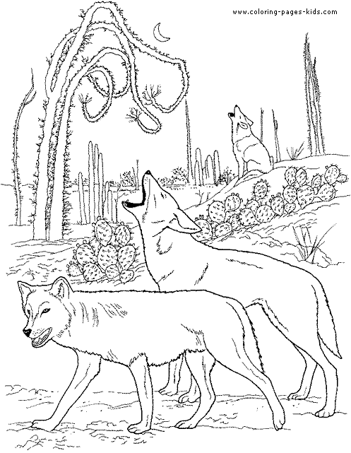 Wolf Pictures To Color