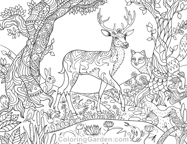 Forest Coloring Pages Pdf