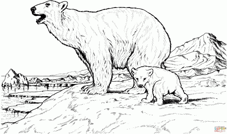 Realistic Polar Bear Coloring Pages