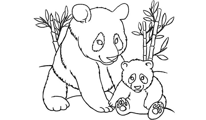 Panda Coloring Pages Easy