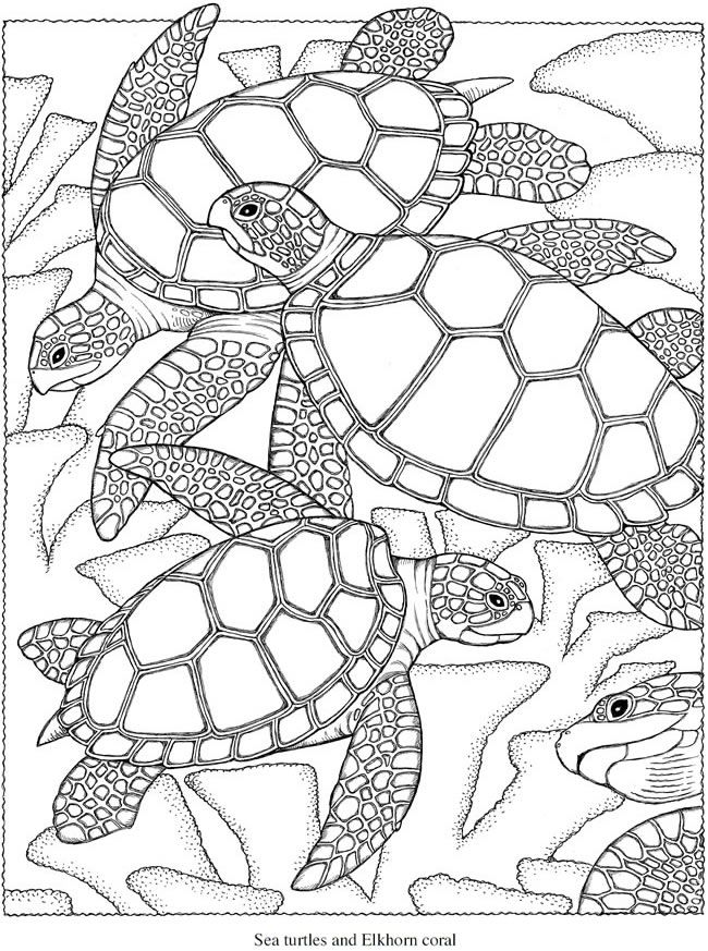 Ocean Coloring Pages Hard