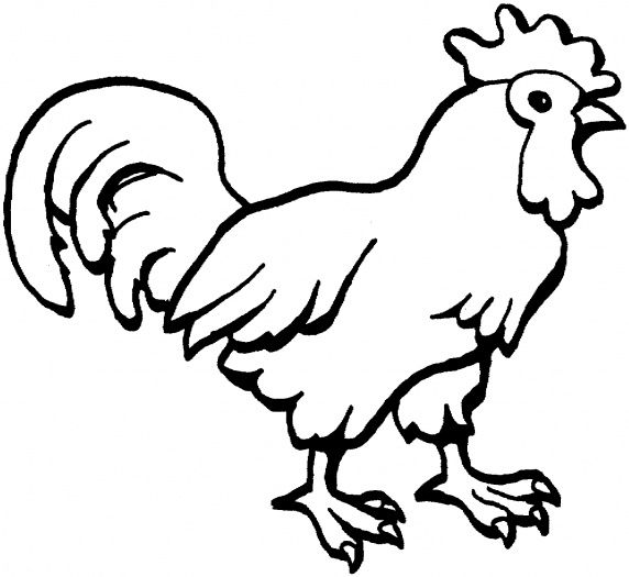 Chicken Coloring Pages For Toddlers