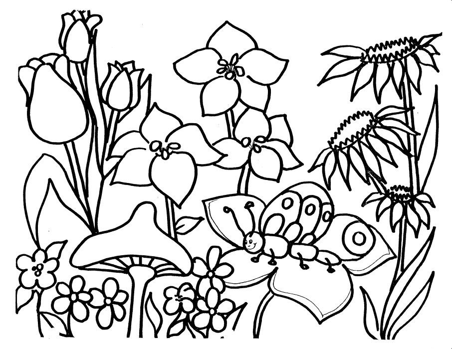 Flower Garden Coloring Pages