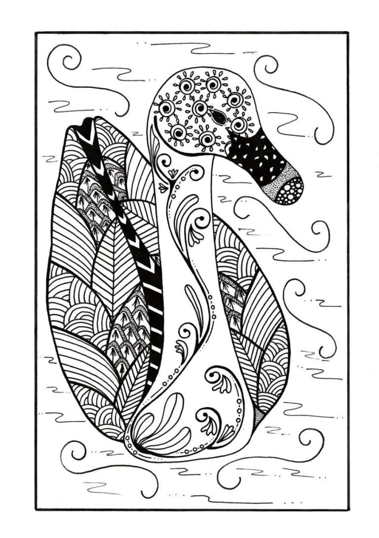 Duck Coloring Pages For Adults