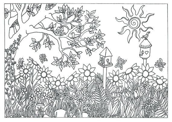 Nature Coloring Pages For Adults