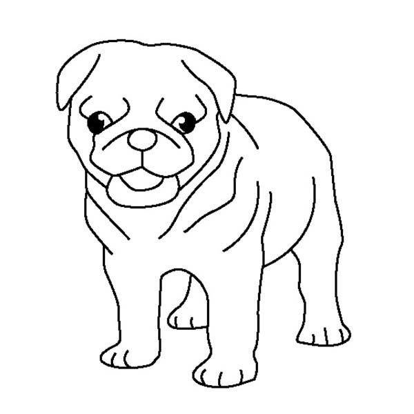 Pug Coloring Pages For Kids